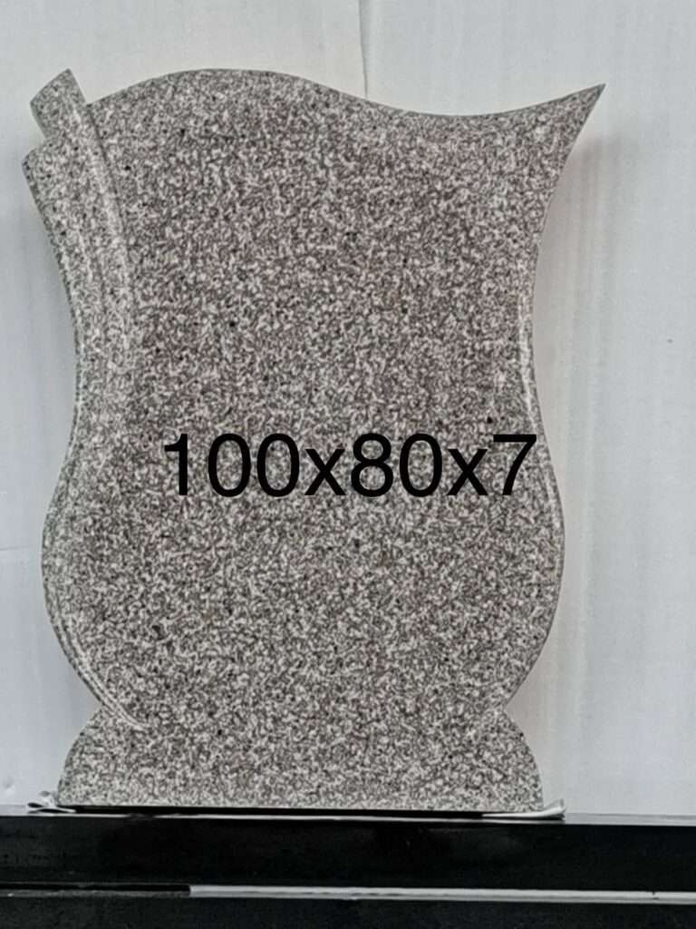 Model G001